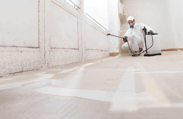 24/7 Emergency Crawl Space Mold Removal experts in Prospect Heights, IL