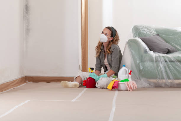 Reliable Crawl Space Mold Removal contractor in Prospect Heights, IL by WQB Mold Removal